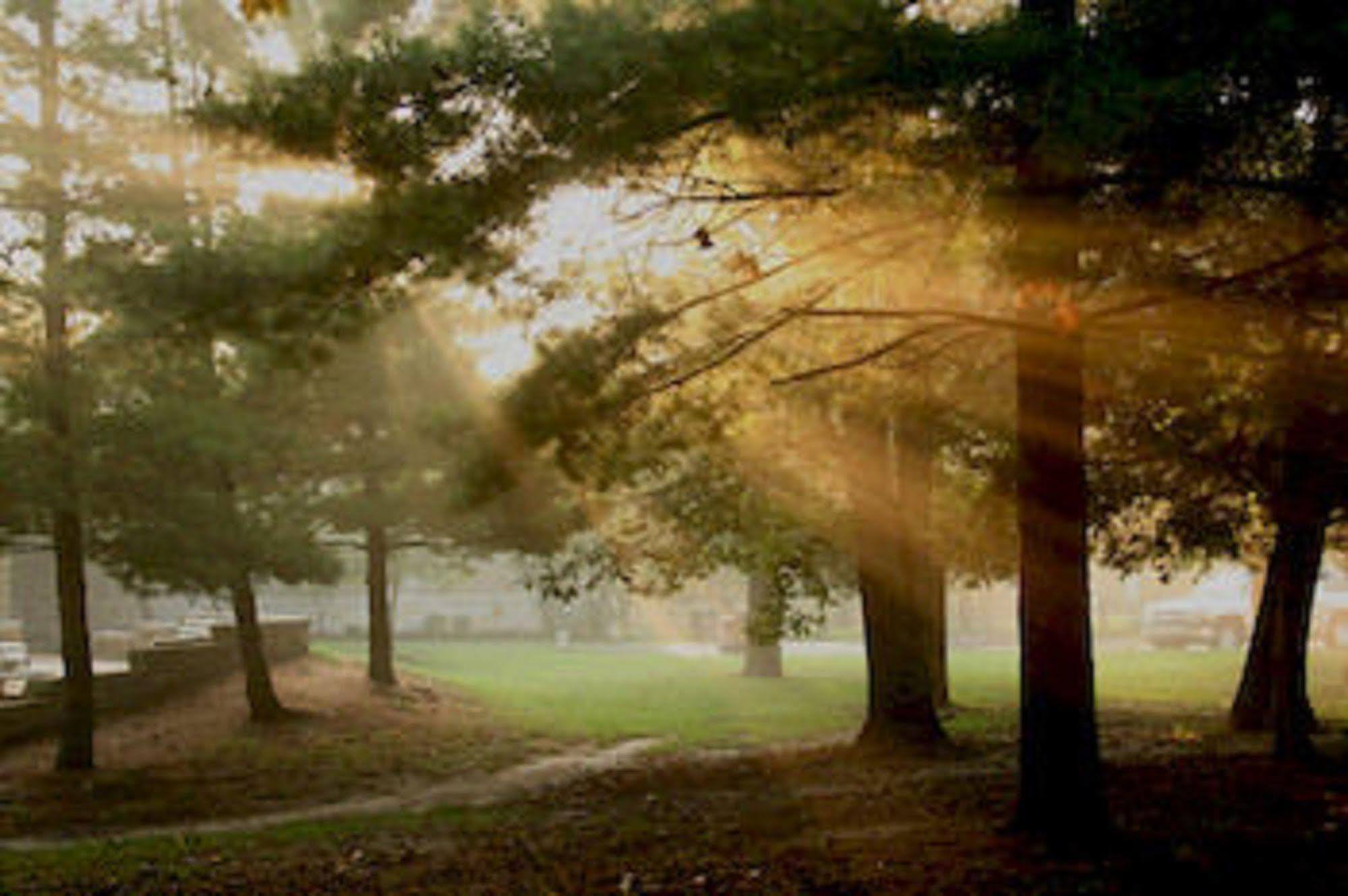 Starved Rock Lodge & Conference Center Utica Dış mekan fotoğraf